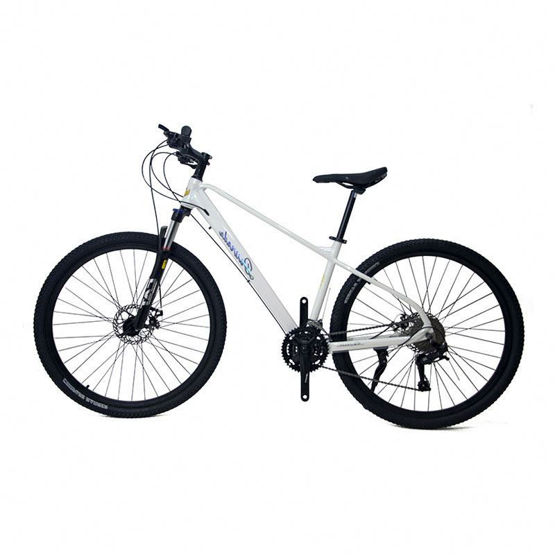 29 inch Aluminum Alloy Mountai - Mountain Biking Usa recension och pris