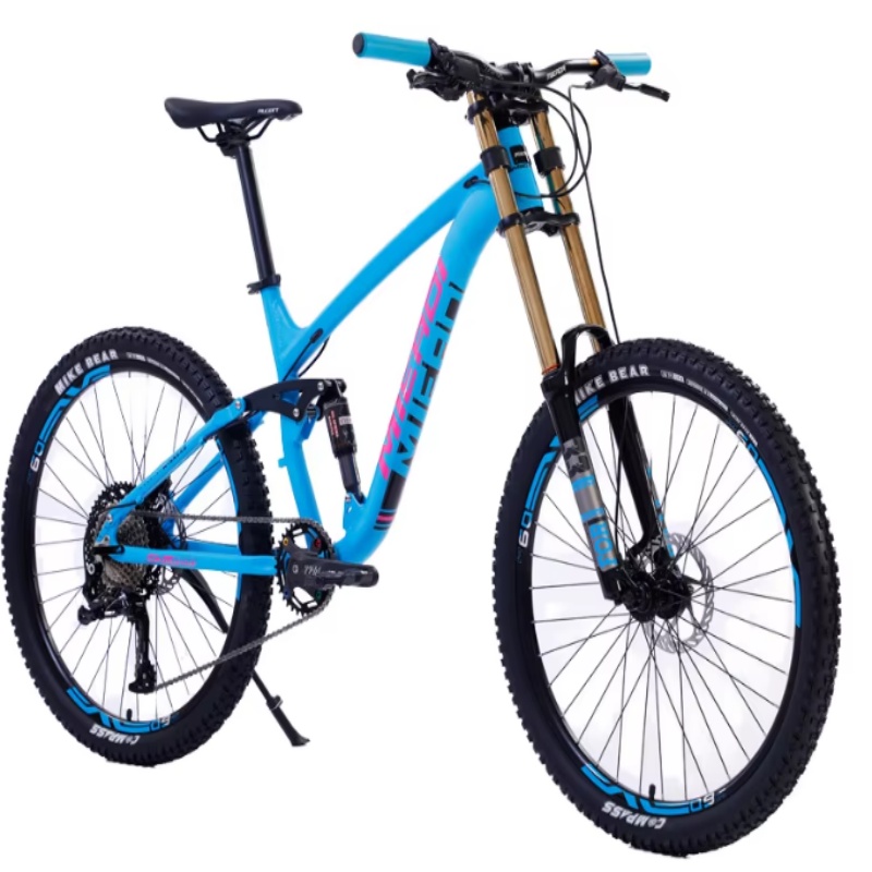 High Quality 24-Inch Dual Disc - Mountain Biking Usa recension och pris
