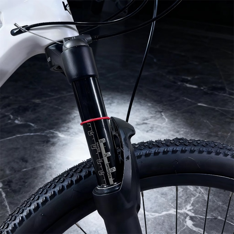 29er Carbon Fiber Mountain Bik - Mountain Biking Usa recension och pris
